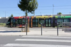 Bild: montpellier2083_bk1608070060.jpg - anklicken zum Vergrößern