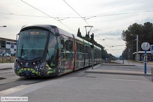 Bild: montpellier2084_bk1406240238.jpg - anklicken zum Vergrößern