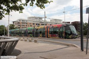 Bild: montpellier2084_bk1406250071.jpg - anklicken zum Vergrößern
