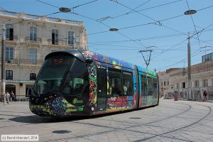 Bild: montpellier2084_bk1406260110.jpg - anklicken zum Vergrößern