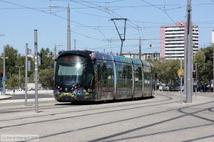 Bild: montpellier2086_bk1608070044.jpg - anklicken zum Vergrößern
