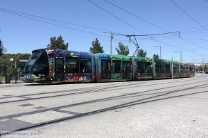 Bild: montpellier2086_bk1608070046.jpg - anklicken zum Vergrößern