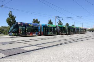 Bild: montpellier2086_bk1608070047.jpg - anklicken zum Vergrößern