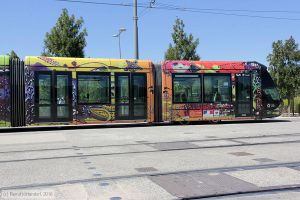 Bild: montpellier2086_bk1608070049.jpg - anklicken zum Vergrößern