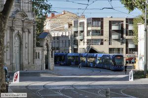 Bild: montpellier2092_bk1608060145.jpg - anklicken zum Vergrößern