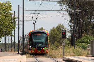 Bild: montpellier2094_bk1406260171.jpg - anklicken zum Vergrößern