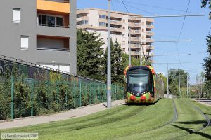 Bild: montpellier2094_bk1608050043.jpg - anklicken zum Vergrößern