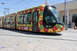 Bild: montpellier2094_bk1608070088.jpg - anklicken zum Vergrößern