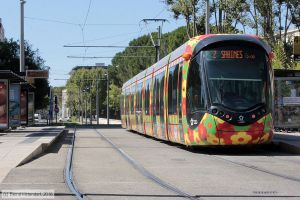 Bild: montpellier2095_bk1608050026.jpg - anklicken zum Vergrößern