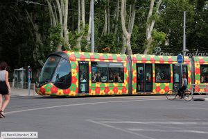 Bild: montpellier2096_bk1406250294.jpg - anklicken zum Vergr&ouml;&szlig;ern