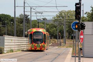 Bild: montpellieranlagen_bk1406250250.jpg - anklicken zum Vergrößern