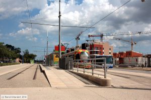 Bild: montpellieranlagen_bk1406250285.jpg - anklicken zum Vergrößern