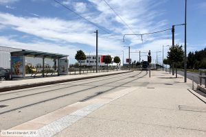 Bild: montpellieranlagen_bk1608060049.jpg - anklicken zum Vergrößern