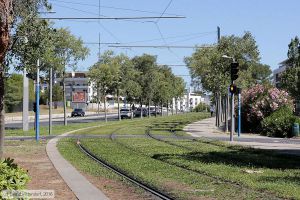 Bild: montpellieranlagen_bk1608070014.jpg - anklicken zum Vergrößern Bild: montpellieranlagen_bk1608070014.jpg - anklicken zum Vergrößern