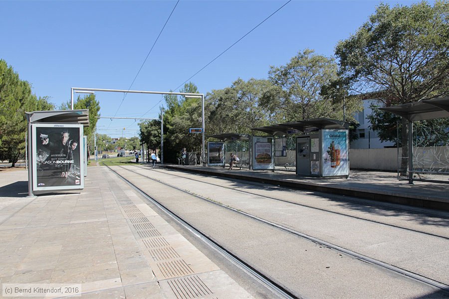 Straßenbahn Montpellier - Anlagen
/ Bild: montpellieranlagen_bk1608070013.jpg Straßenbahn Montpellier - Anlagen
/ Bild: montpellieranlagen_bk1608070013.jpg