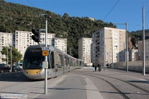 Bild: nice028_bk1312070119.jpg - anklicken zum Vergr&ouml;&szlig;ern