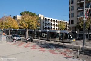 Bild: nice028_bk1312080042.jpg - anklicken zum Vergr&ouml;&szlig;ern