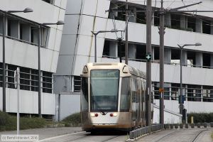 Bild: orleans44_bk1607210093.jpg - anklicken zum Vergrößern