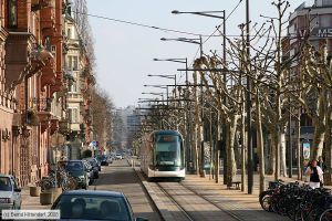 Bild: strasbourg2022_bk0802230242.jpg - anklicken zum Vergrößern Bild: strasbourg2022_bk0802230242.jpg - anklicken zum Vergrößern