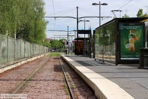 Bild: strasbourganlagen_bk1904250061.jpg - anklicken zum Vergrößern Bild: strasbourganlagen_bk1904250061.jpg - anklicken zum Vergrößern