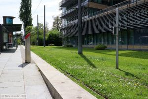 Bild: strasbourganlagen_bk1904250200.jpg - anklicken zum Vergrößern Bild: strasbourganlagen_bk1904250200.jpg - anklicken zum Vergrößern