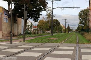 Bild: strasbourganlagen_bk1910170058.jpg - anklicken zum Vergrößern Bild: strasbourganlagen_bk1910170058.jpg - anklicken zum Vergrößern