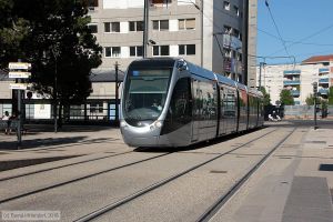 Bild: toulouse5010_bk1607180228.jpg - anklicken zum Vergrößern Bild: toulouse5010_bk1607180228.jpg - anklicken zum Vergrößern