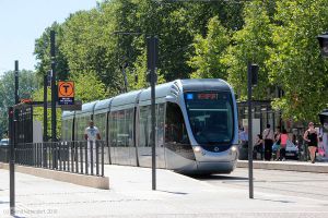 Bild: toulouse5014_bk1607180179.jpg - anklicken zum Vergrößern Bild: toulouse5014_bk1607180179.jpg - anklicken zum Vergrößern
