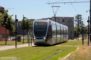 Bild: toulouse5026_bk1607180091.jpg - anklicken zum Vergr&ouml;&szlig;ern