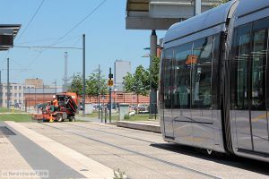 Bild: toulouse5026_bk1607180093.jpg - anklicken zum Vergr&ouml;&szlig;ern