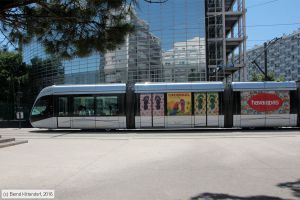 Bild: toulouse5027_bk1607190164.jpg - anklicken zum Vergr&ouml;&szlig;ern