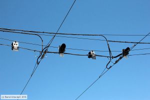 Bild: toulouseanlagen_bk1607180065.jpg - anklicken zum Vergrößern Bild: toulouseanlagen_bk1607180065.jpg - anklicken zum Vergrößern