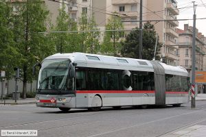 Bild: lyon2911_bk1404270344.jpg - anklicken zum Vergrößern