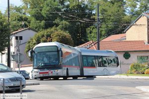 Bild: lyon2914_bk1507280374.jpg - anklicken zum Vergrößern