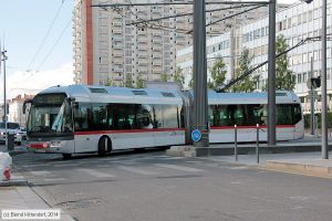 Bild: lyon2917_bk1406300006.jpg - anklicken zum Vergrößern