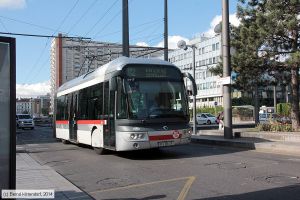 Bild: lyon2917_bk1406300007.jpg - anklicken zum Vergrößern
