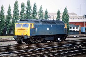 Bild: br47093_dk052518.jpg - anklicken zum Vergr&ouml;&szlig;ern