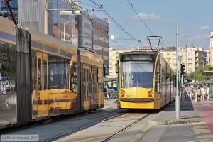 Bild: budapest2031_bk1608310459.jpg - anklicken zum Vergrößern