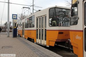 Bild: budapest4031_bk1703010363.jpg - anklicken zum Vergrößern