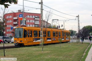 Bild: budapest1566_bk0809180297.jpg - anklicken zum Vergrößern