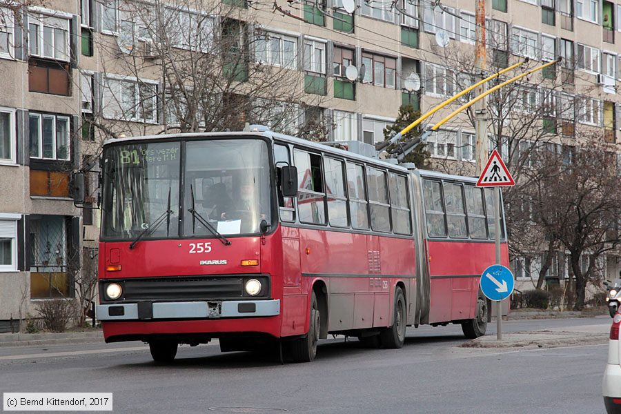 Budapest - Trolleybus - 255
/ Bild: budapest255_bk1702280278.jpg