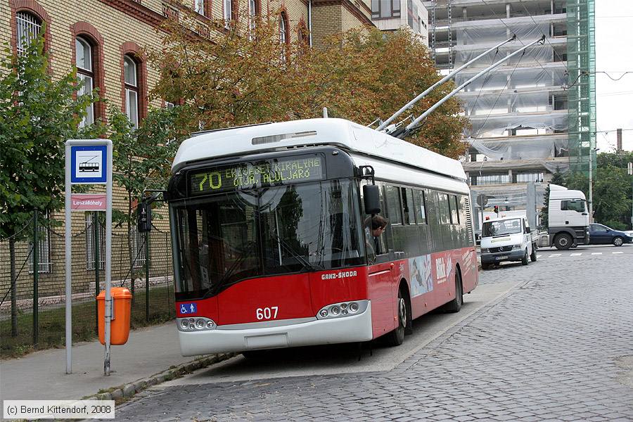 Budapest - Trolleybus - 607
/ Bild: budapest607_bk0809180201.jpg