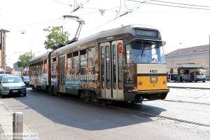 Bild: milano4605_bk1808060189.jpg - anklicken zum Vergrößern