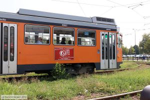Bild: milano4951_bk1908270199.jpg - anklicken zum Vergrößern Bild: milano4951_bk1908270199.jpg - anklicken zum Vergrößern