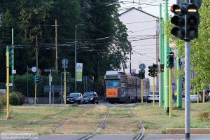 Bild: milano4966_bk1908270324.jpg - anklicken zum Vergrößern Bild: milano4966_bk1908270324.jpg - anklicken zum Vergrößern