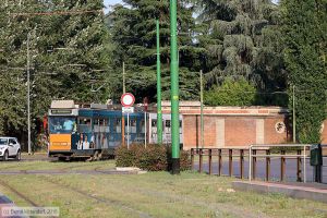 Bild: milano4976_bk1808050244.jpg - anklicken zum Vergrößern