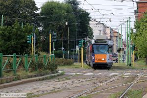 Bild: milano4987_bk1908270333.jpg - anklicken zum Vergrößern
