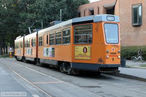 Bild: milano4989_bk1908250254.jpg - anklicken zum Vergrößern