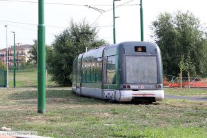 Bild: milano7009_bk1908270274.jpg - anklicken zum Vergrößern Bild: milano7009_bk1908270274.jpg - anklicken zum Vergrößern