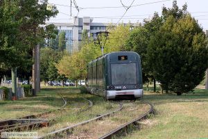 Bild: milano7009_bk1908270283.jpg - anklicken zum Vergrößern Bild: milano7009_bk1908270283.jpg - anklicken zum Vergrößern